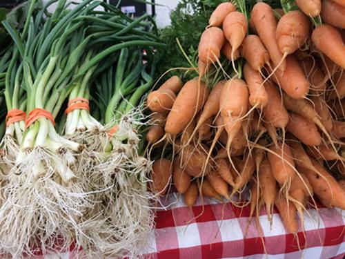 Winter Farmers Market Produce