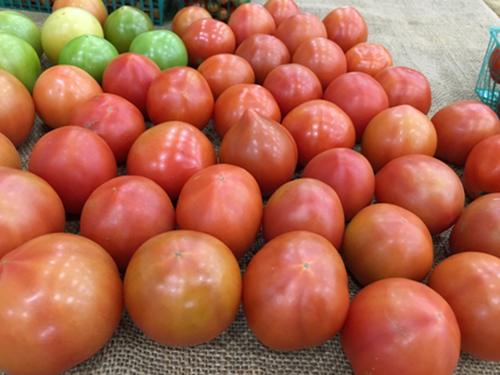 Winter Farmers Market Tomatoes